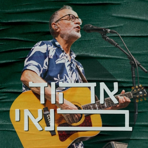פסטיבל צלילי בזלת  - אהוד בנאי