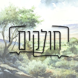חולקים טיזר copy.jpg