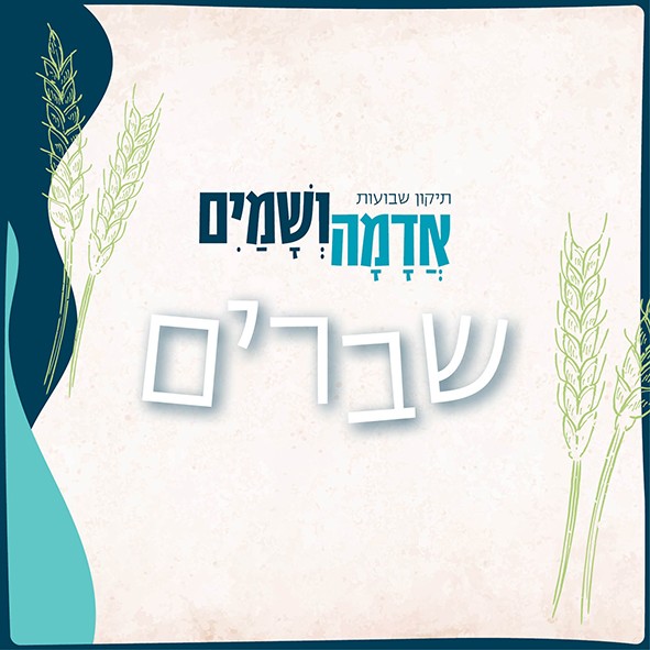 אדמה ושמים טיזר.jpg