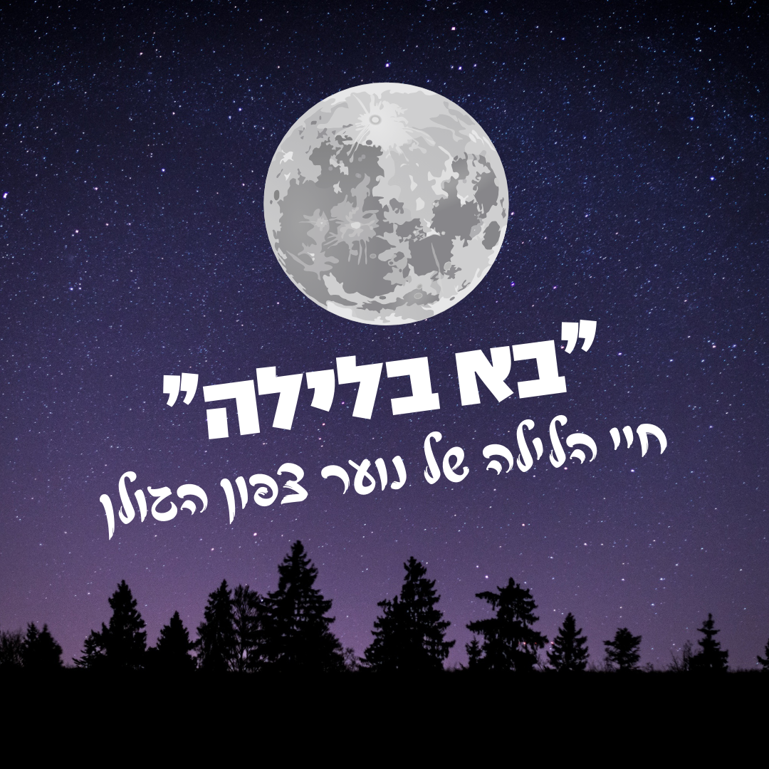 הקיץ שייך לנוער.png