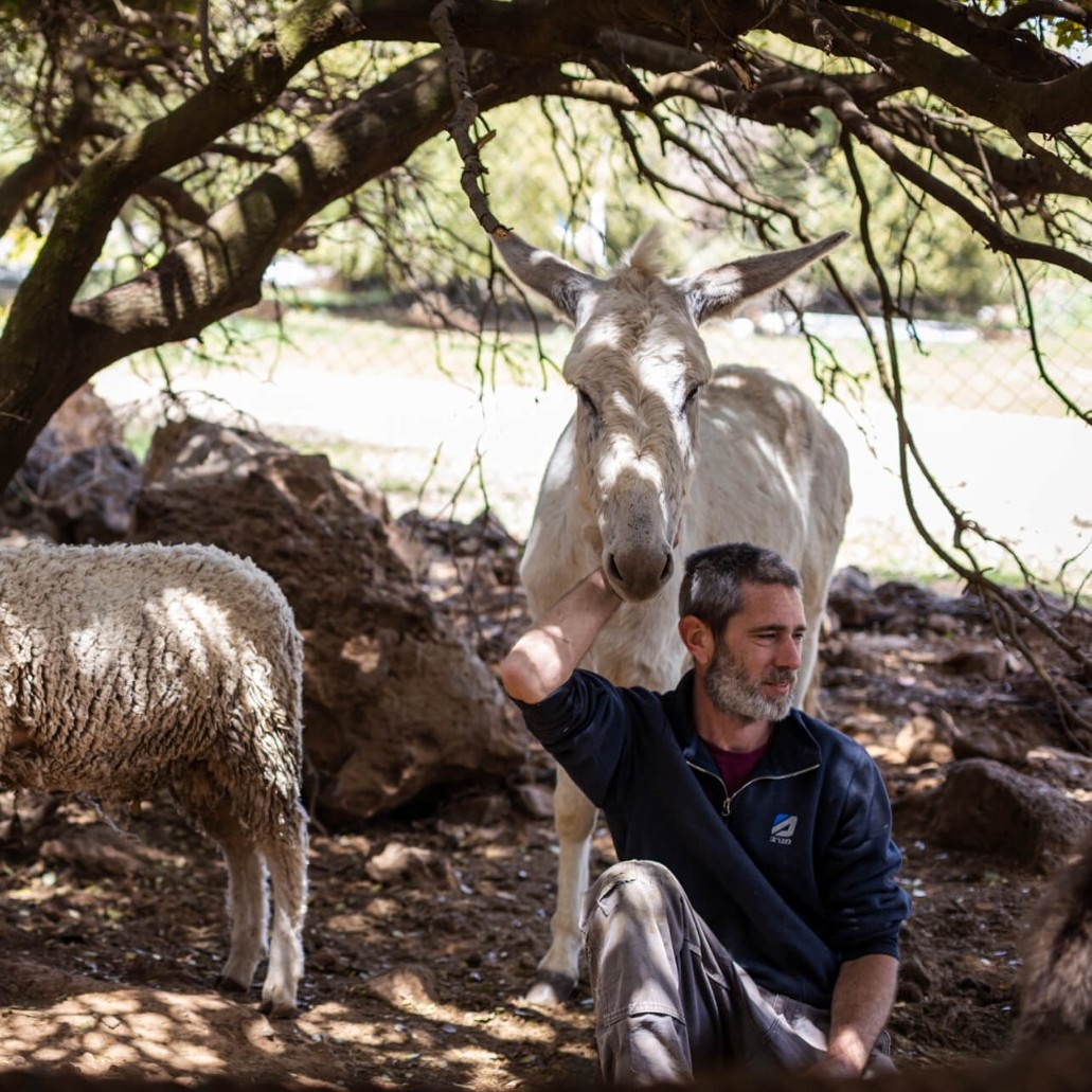 חוות החופש טיזר.jpg